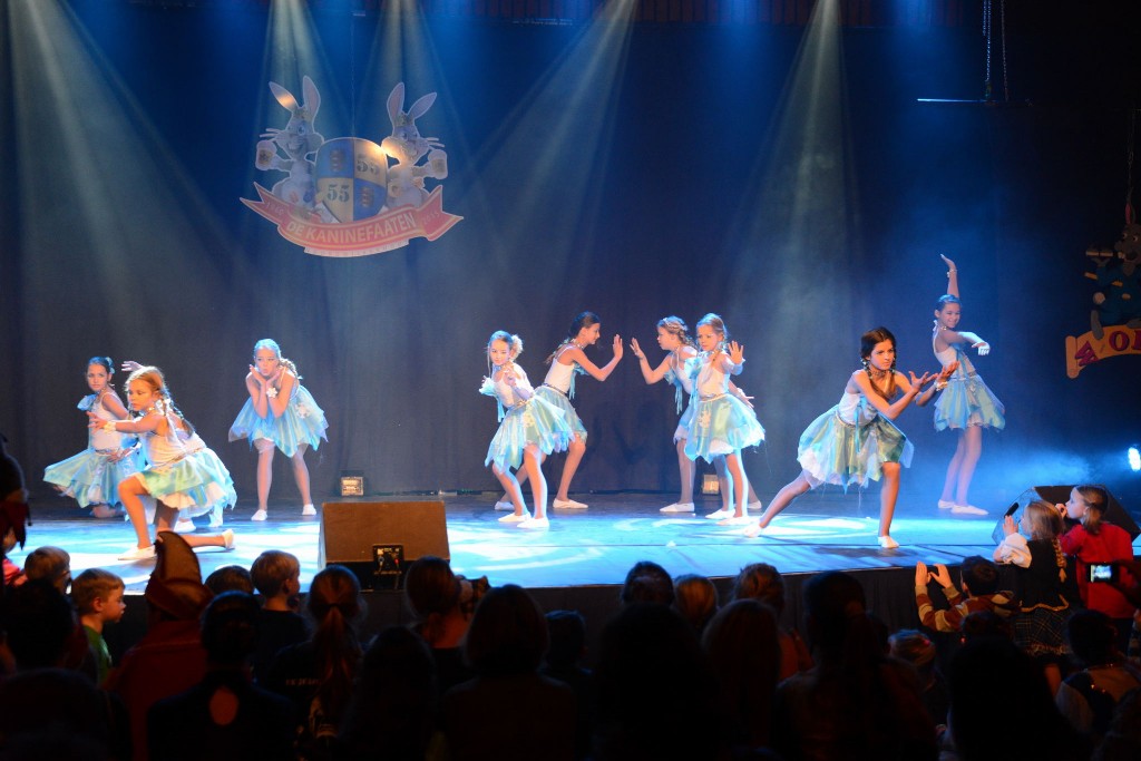 ../Images/Dansmarieke festival 2015 348.jpg